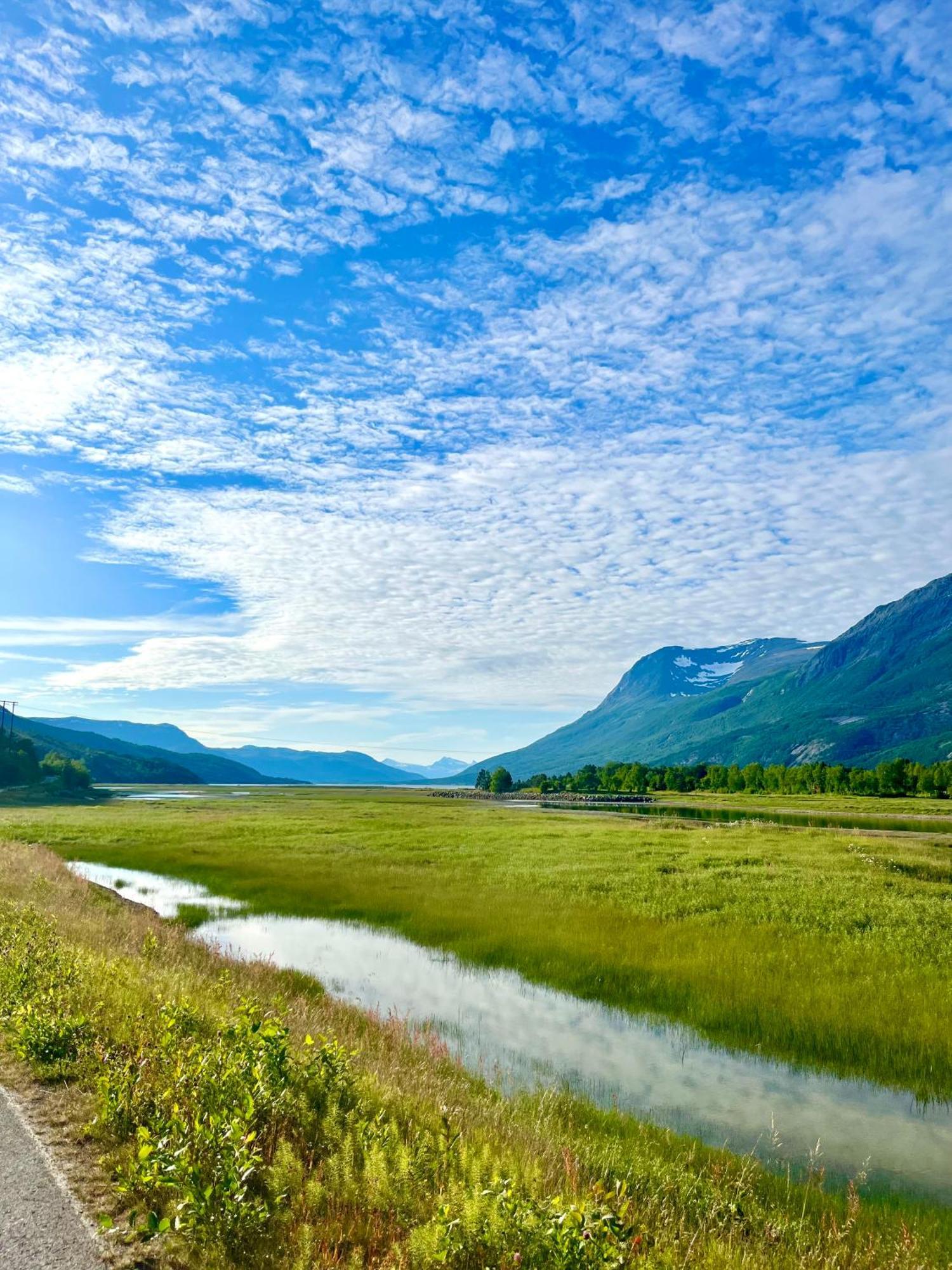 Skjomen Lodge Elvegard Exteriér fotografie